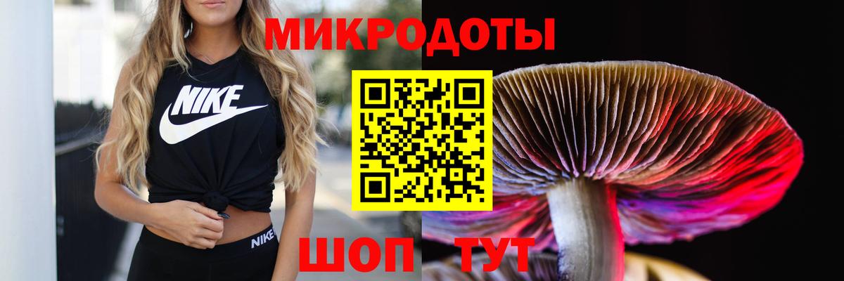 Сорочинск  где можно купить наркотик  Вход с VPN  Галлюциногенные грибы мухоморы 